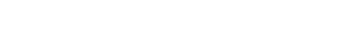 Rönesans Holding